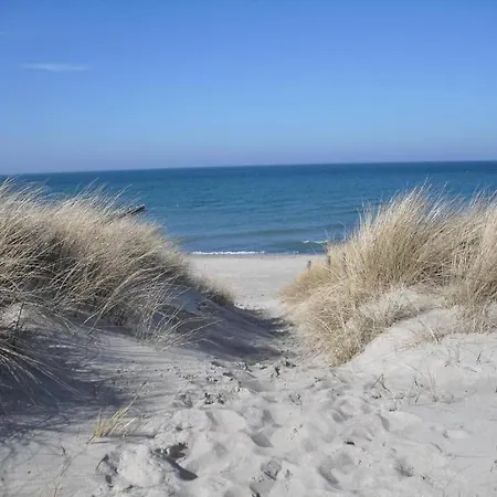 Beulig-tietz Gm 69105 *